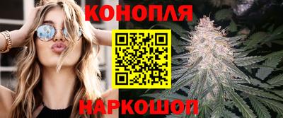 дмт Тара