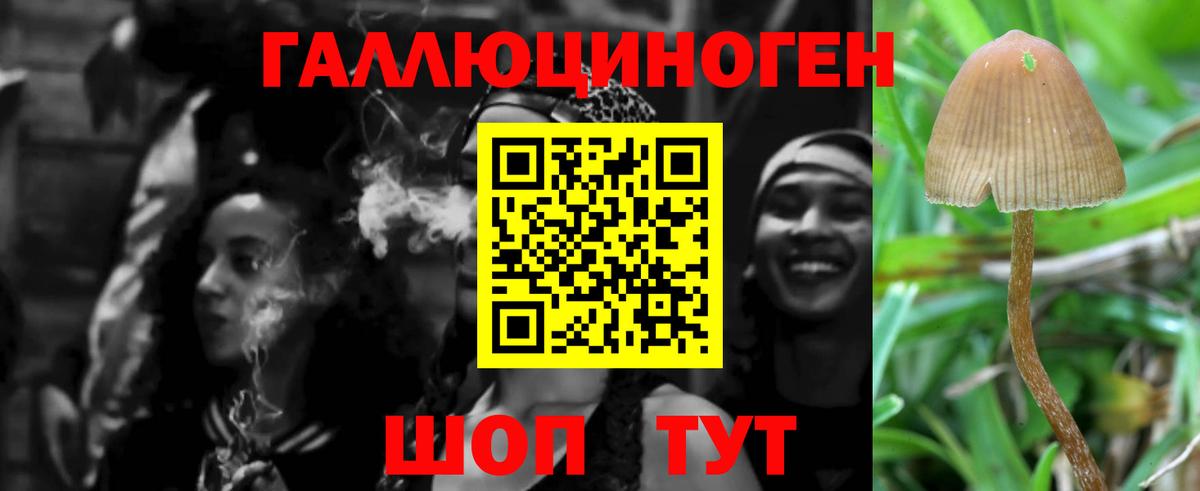 Новосибирск  где купить   Псилоцибиновые грибы Psilocybe  Вход с VPN  Псилоцибиновые грибы ЛСД 